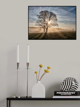 Sunrise Poster och Canvastavla
