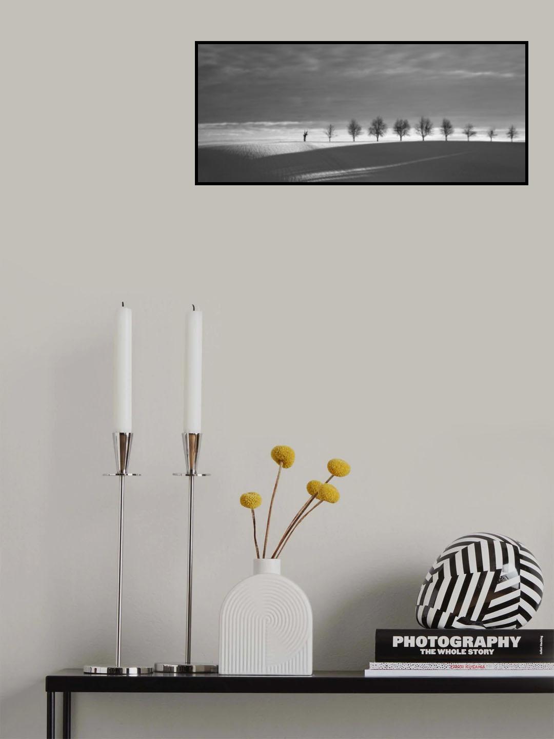 from shadow to light Poster och Canvastavla