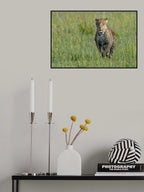Running Leo Poster och Canvastavla