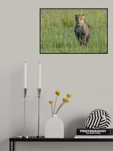 Running Leo Poster och Canvastavla