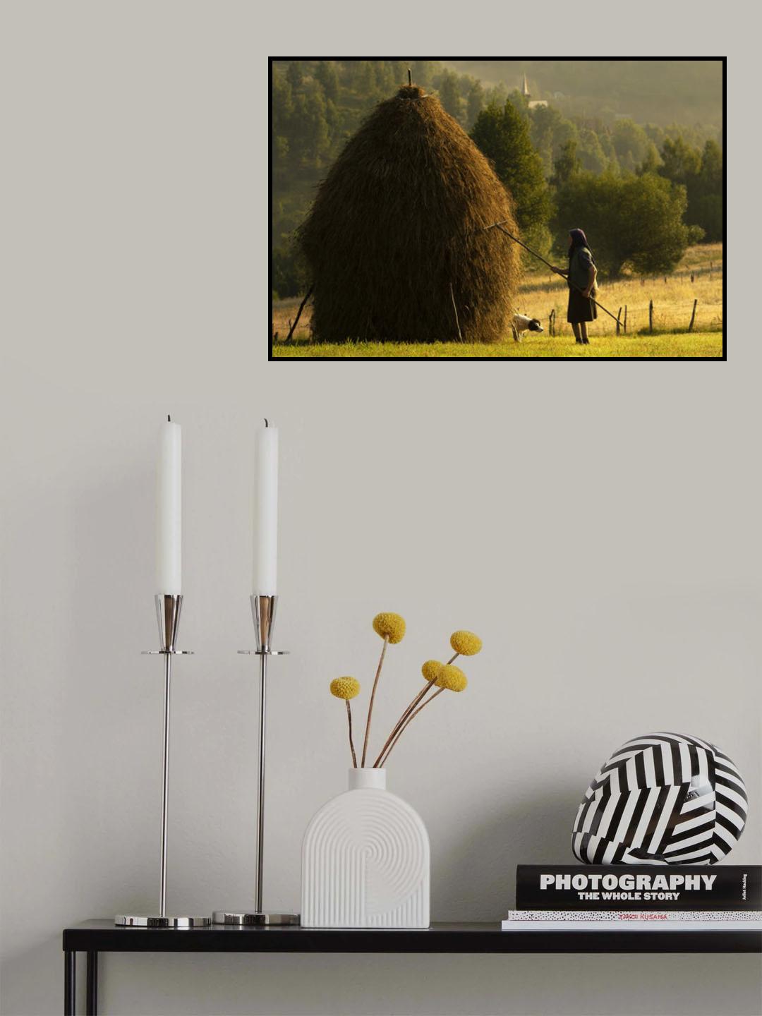Maria and Ciobanel, Trascau, 2019 Poster och Canvastavla