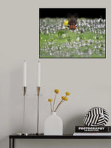 The DEW Keeper's Poster och Canvastavla