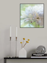 Chrysantheme Poster och Canvastavla