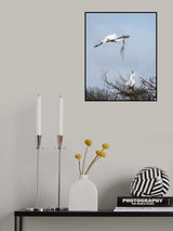 Ooh, another amazing one! Poster och Canvastavla