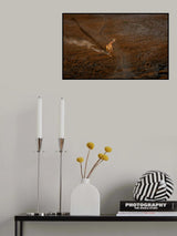 Trot Poster och Canvastavla