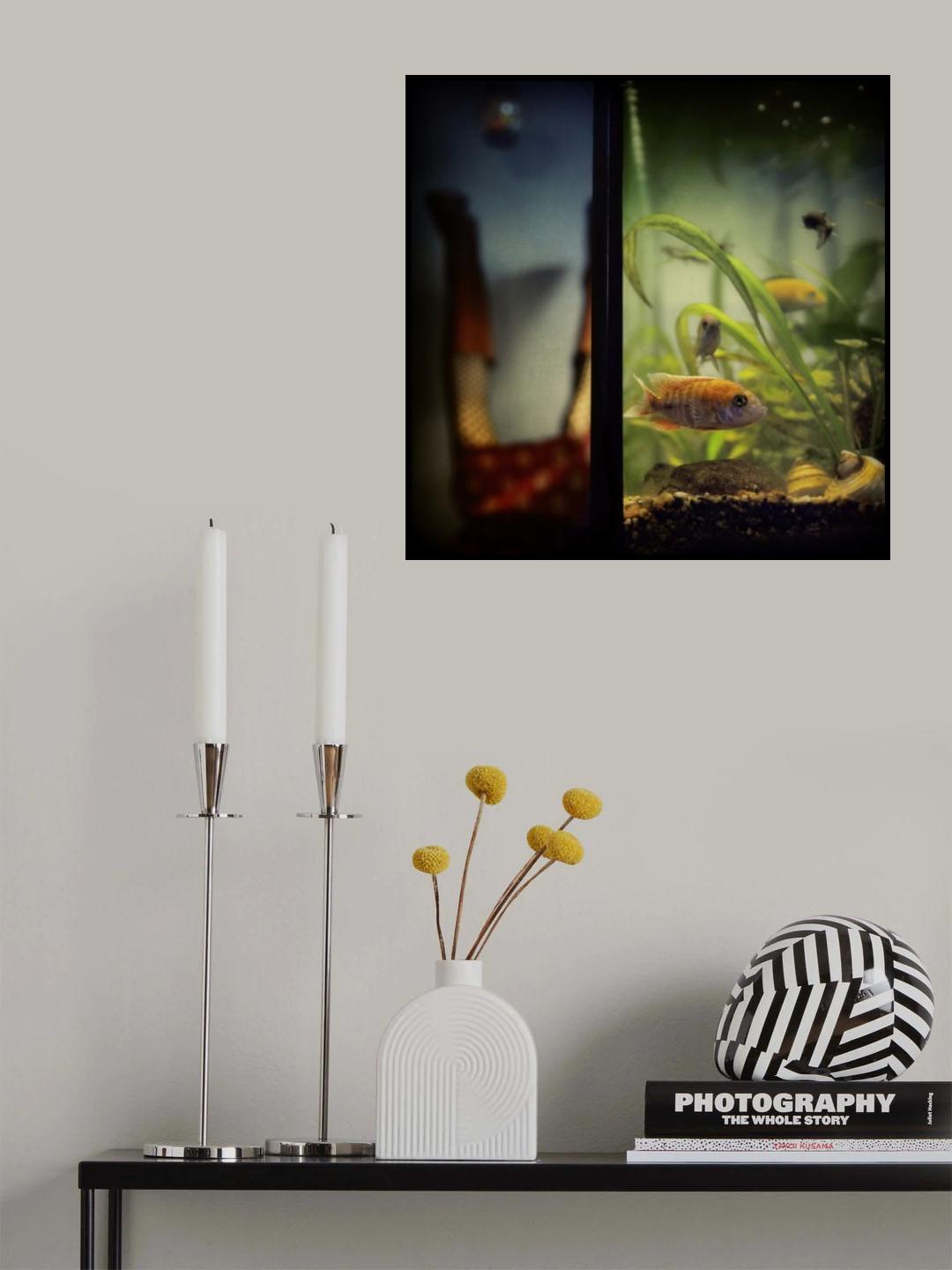 aquachill Poster och Canvastavla