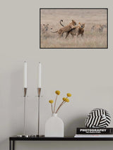 Playing Poster och Canvastavla