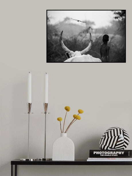 Boy and Cow Poster och Canvastavla