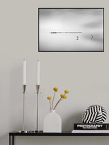 Cormorant in the Mist Poster och Canvastavla