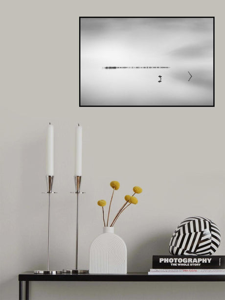 Cormorant in the Mist Poster och Canvastavla