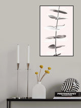 Eucalyptus Creative 11 Poster och Canvastavla