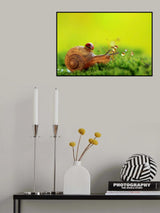 Summer fairy tale Poster och Canvastavla