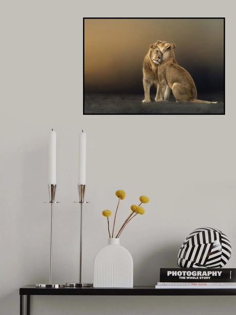 Love is Universal Poster och Canvastavla