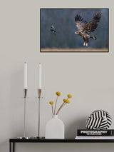 Eternal enemies Poster och Canvastavla