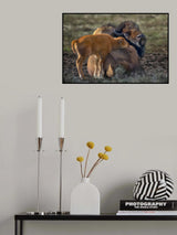 Mother Love Poster och Canvastavla