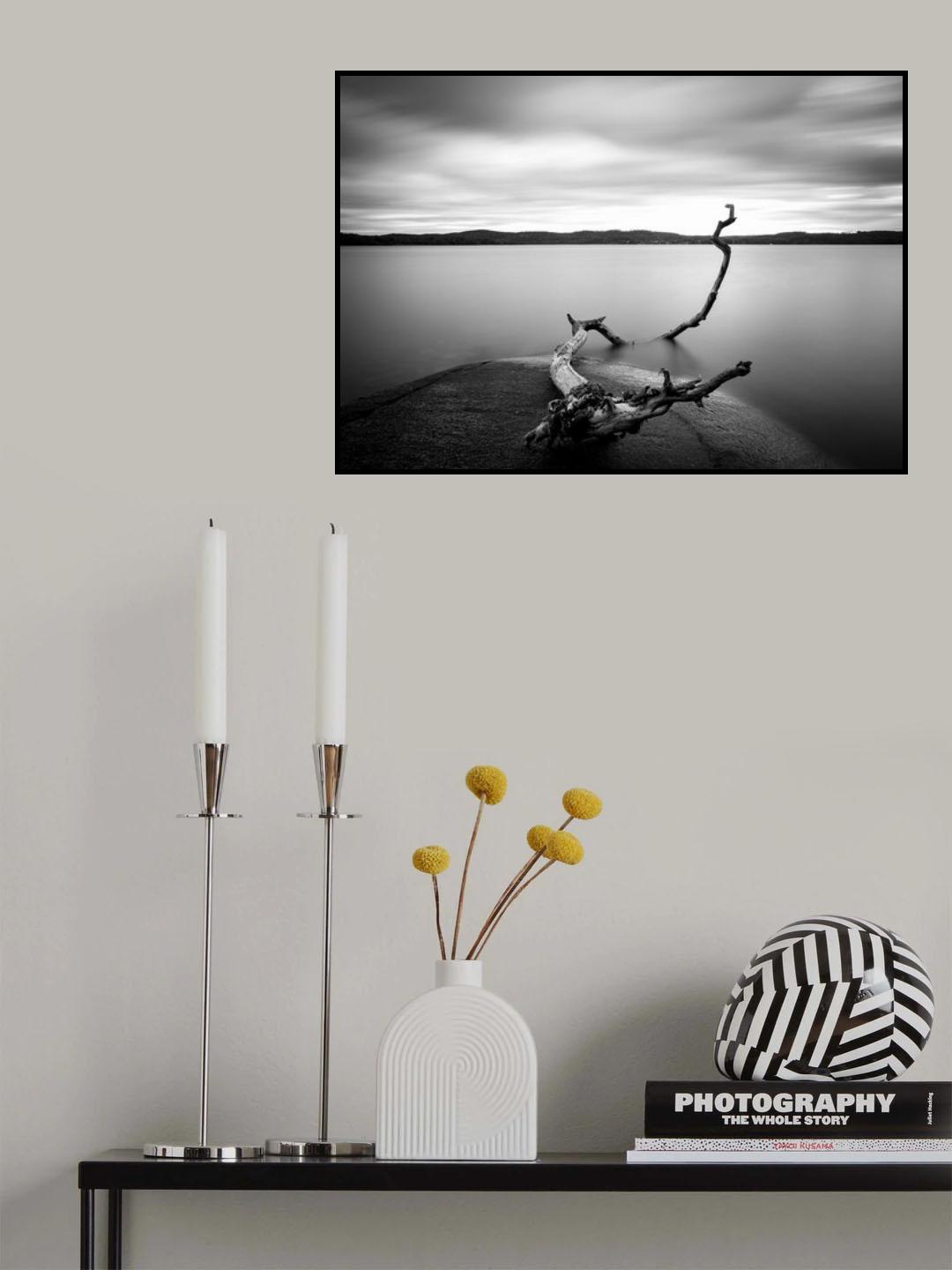 Branch long exposure lake Poster och Canvastavla