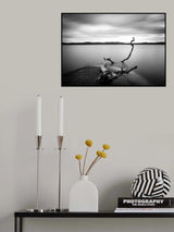 Branch long exposure lake Poster och Canvastavla