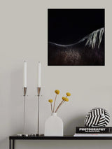 the naked horse Poster och Canvastavla