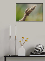 Imitate your environment to escape predators... Poster och Canvastavla