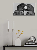Time to Smootch Poster och Canvastavla