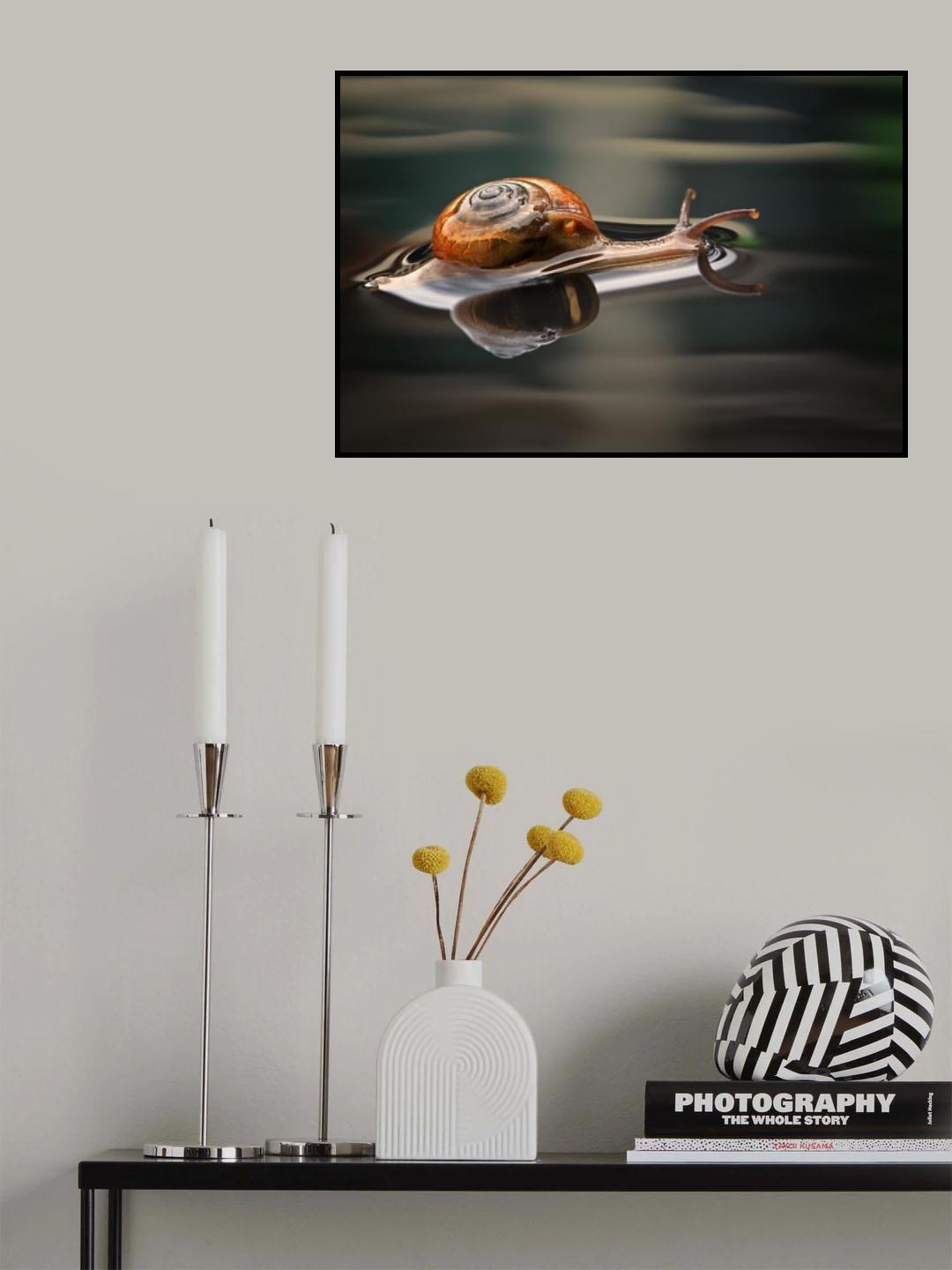 slow but sure Poster och Canvastavla