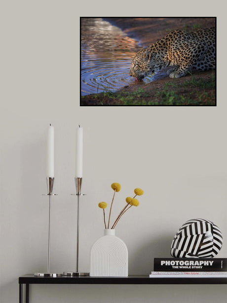 Thirst Poster och Canvastavla