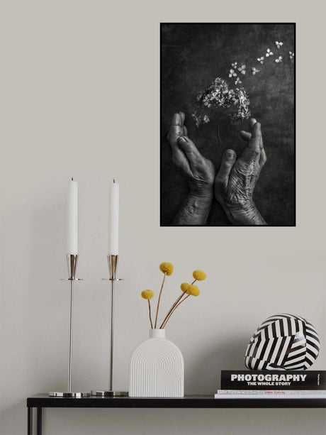 Tempus fugit Poster och Canvastavla
