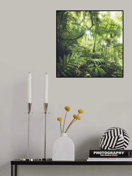Jungle Flair Poster och Canvastavla
