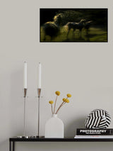 Morning shine Poster och Canvastavla