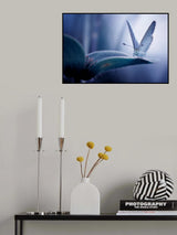 Little White Bog Copper Poster och Canvastavla