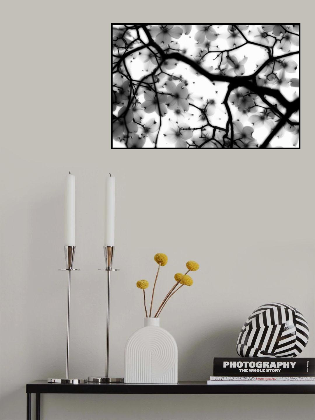 Dogwood Poster och Canvastavla