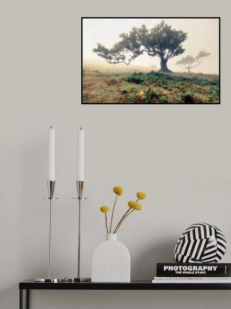 fog Poster och Canvastavla