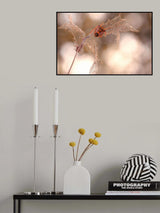 Lacemaker... Poster och Canvastavla
