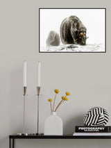 Between the fog and the frost Poster och Canvastavla