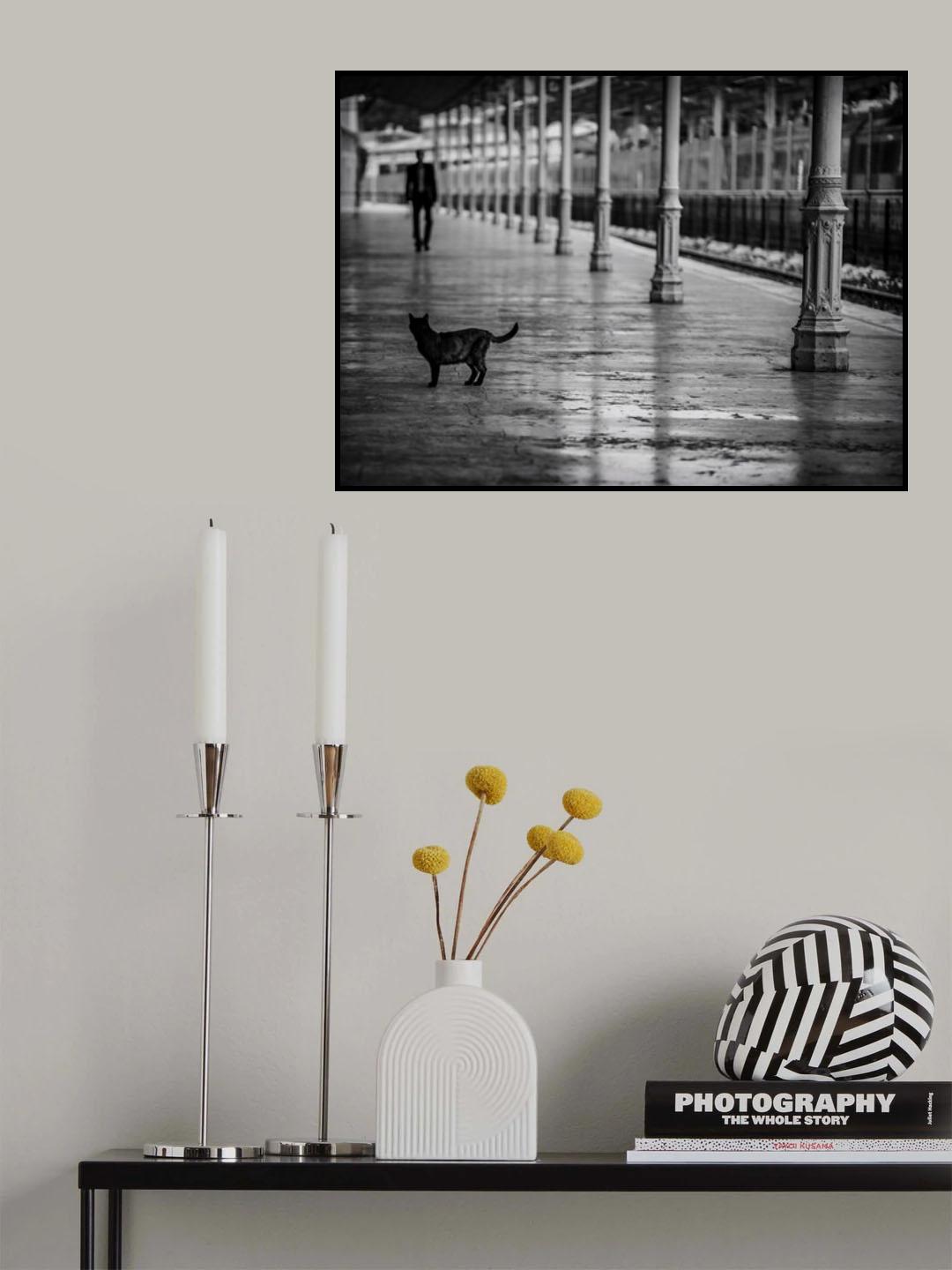Poster och Canvastavla