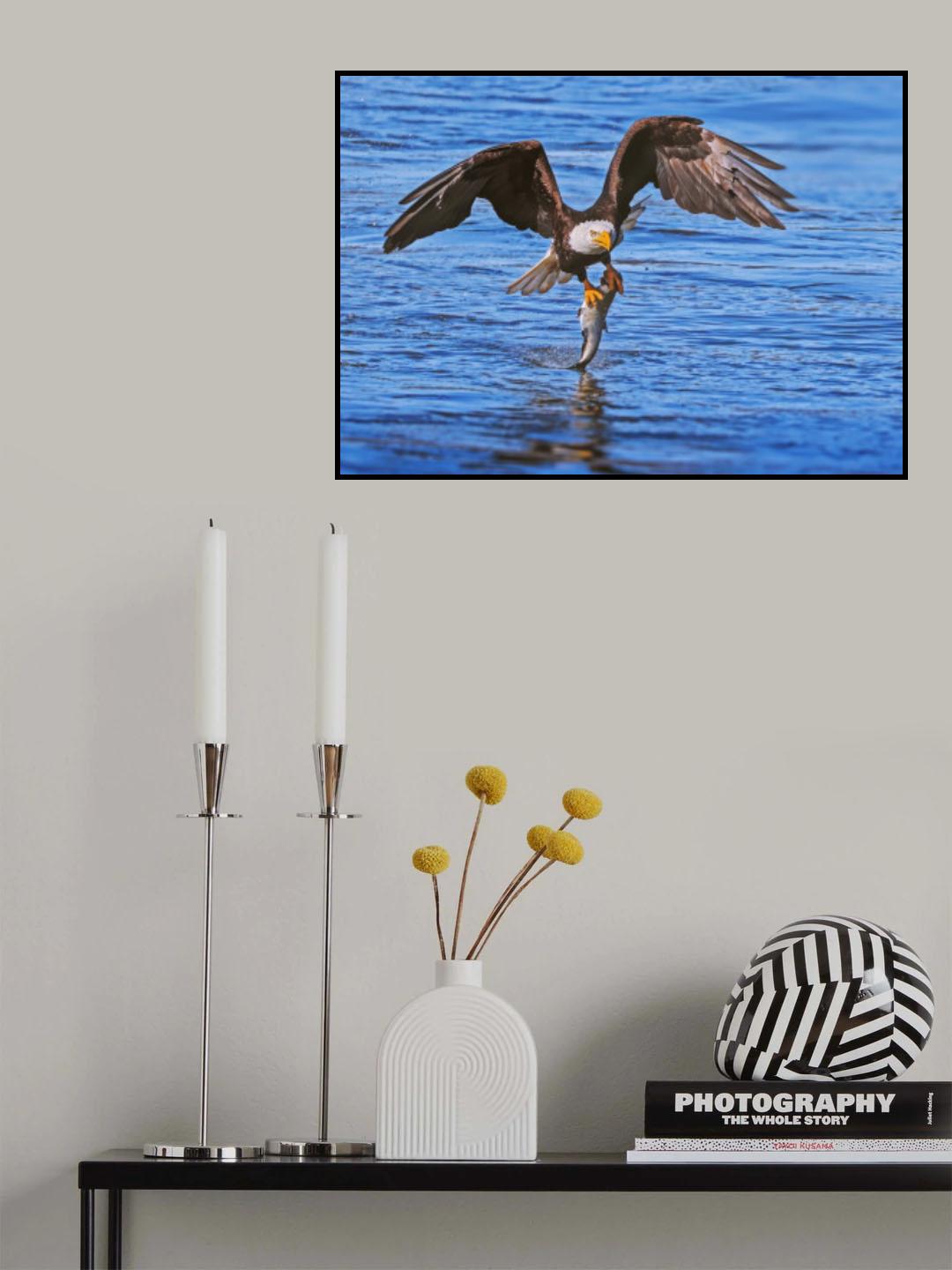 Eagle in Action Poster och Canvastavla