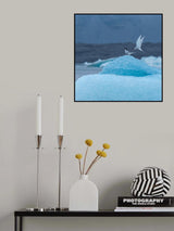 Dancing on ice Poster och Canvastavla