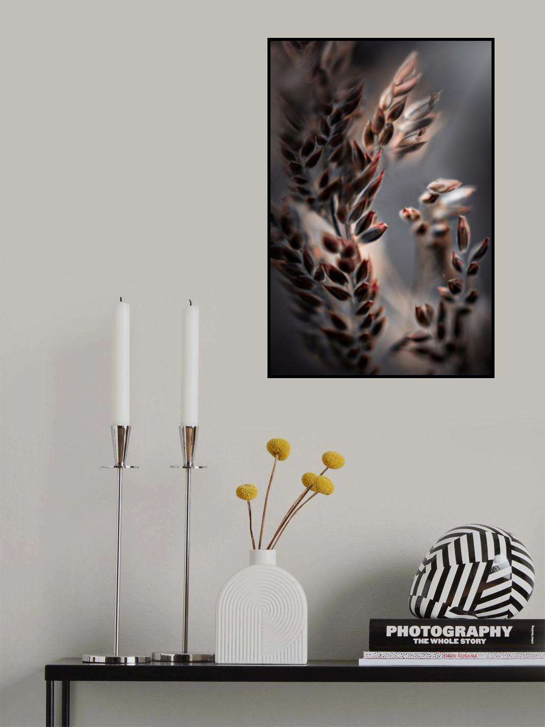 Bentgrass Poster och Canvastavla
