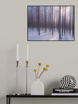 冬日阳光 Poster och Canvastavla