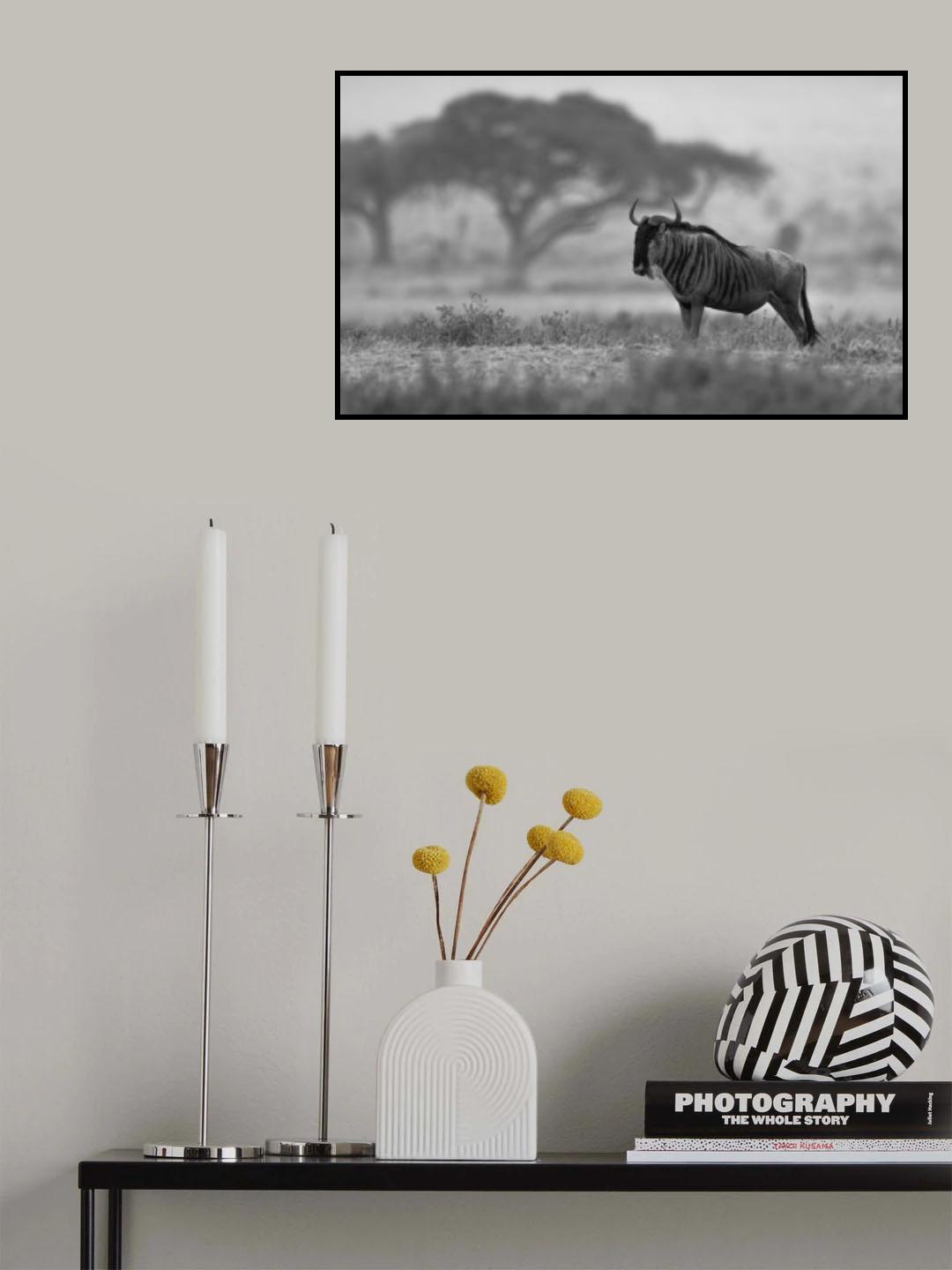 Wildebeest Poster och Canvastavla