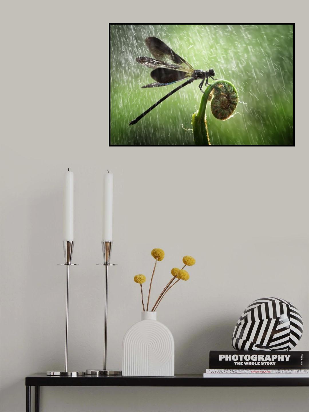 raining Poster och Canvastavla