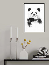 Funny panda Poster och Canvastavla