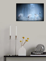 Signets Swan Song Poster och Canvastavla