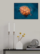 spin turtle Poster och Canvastavla