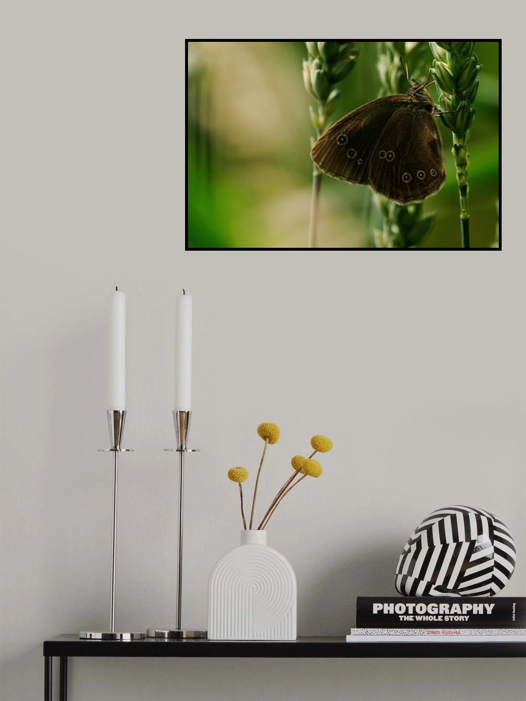 Butterfly in green Poster och Canvastavla