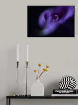 Kala`s pearl Poster och Canvastavla
