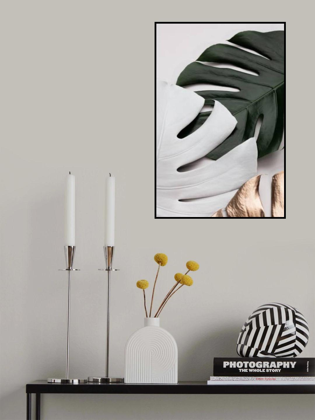 Monstera Colors 01 Poster och Canvastavla