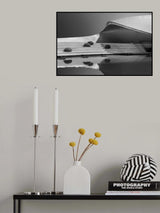 the visitor Poster och Canvastavla