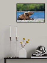Enjoying the first rays of sun Poster och Canvastavla