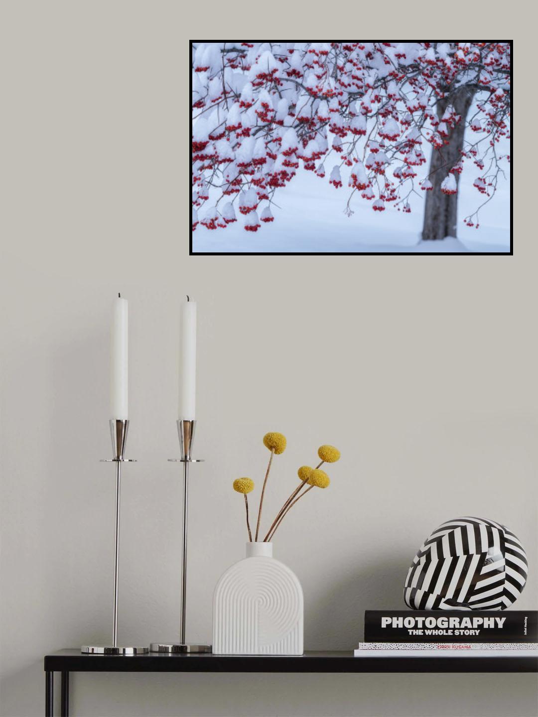 Winter Decoration Poster och Canvastavla